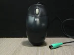 HP Golyós Egér Fekete PS/2