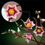 LEGO® Botanicals Magnóliaágak, virágdekoráció 11510