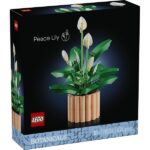 LEGO® Botanicals Vitorlavirág, virágdekoráció 11504