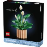 LEGO® Botanicals Vitorlavirág, virágdekoráció 11504 - Image 2