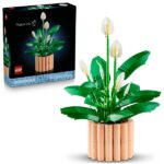 LEGO® Botanicals Vitorlavirág, virágdekoráció 11504 - Image 4