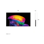 LG OLED42C61LA 42"/106cm OLED evo AI 4K Ultra HD 120 Hz Smart TV, 3840x2160, 4xHDMI/2xUSB/WIFI/LAN - Image 3